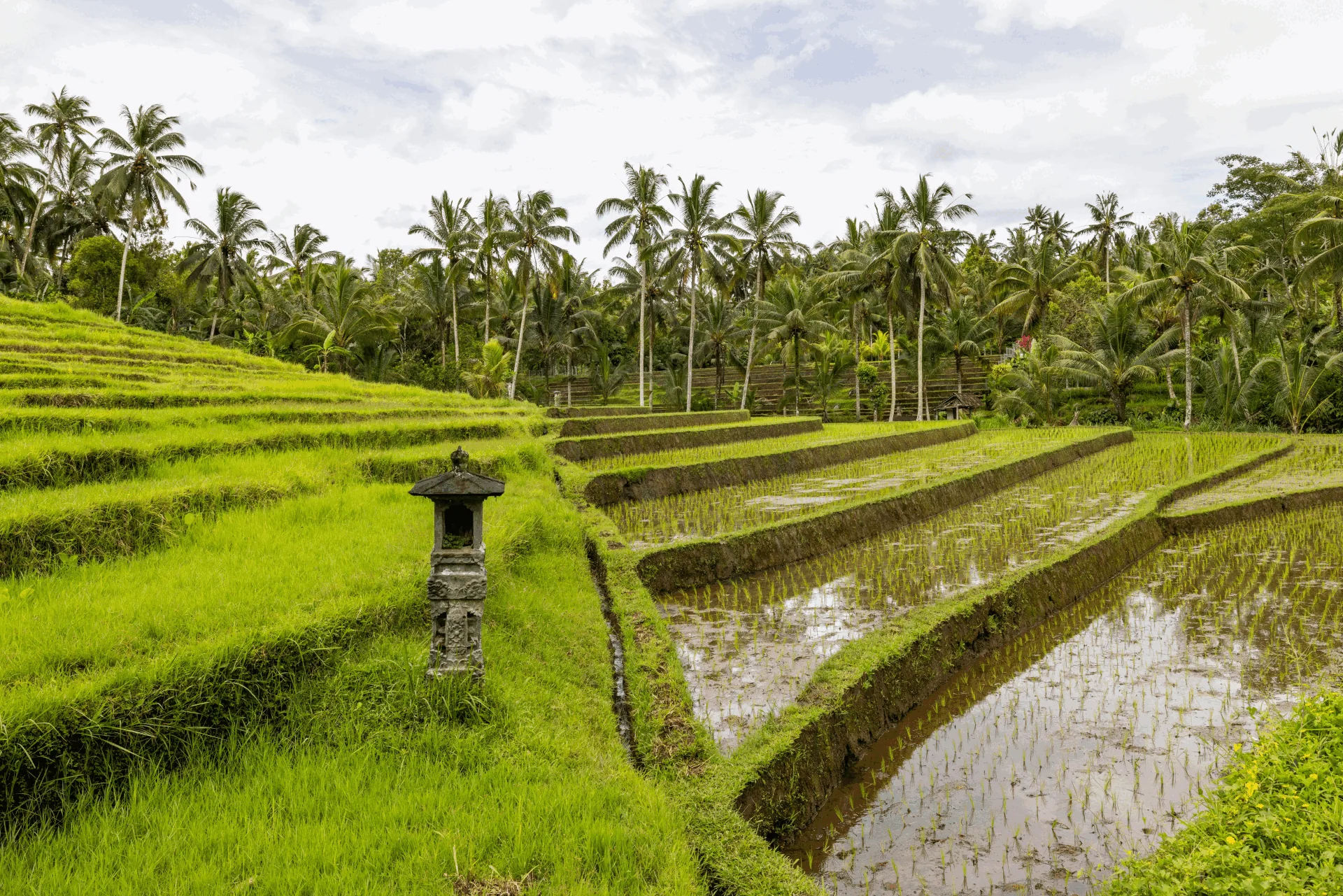 Bali