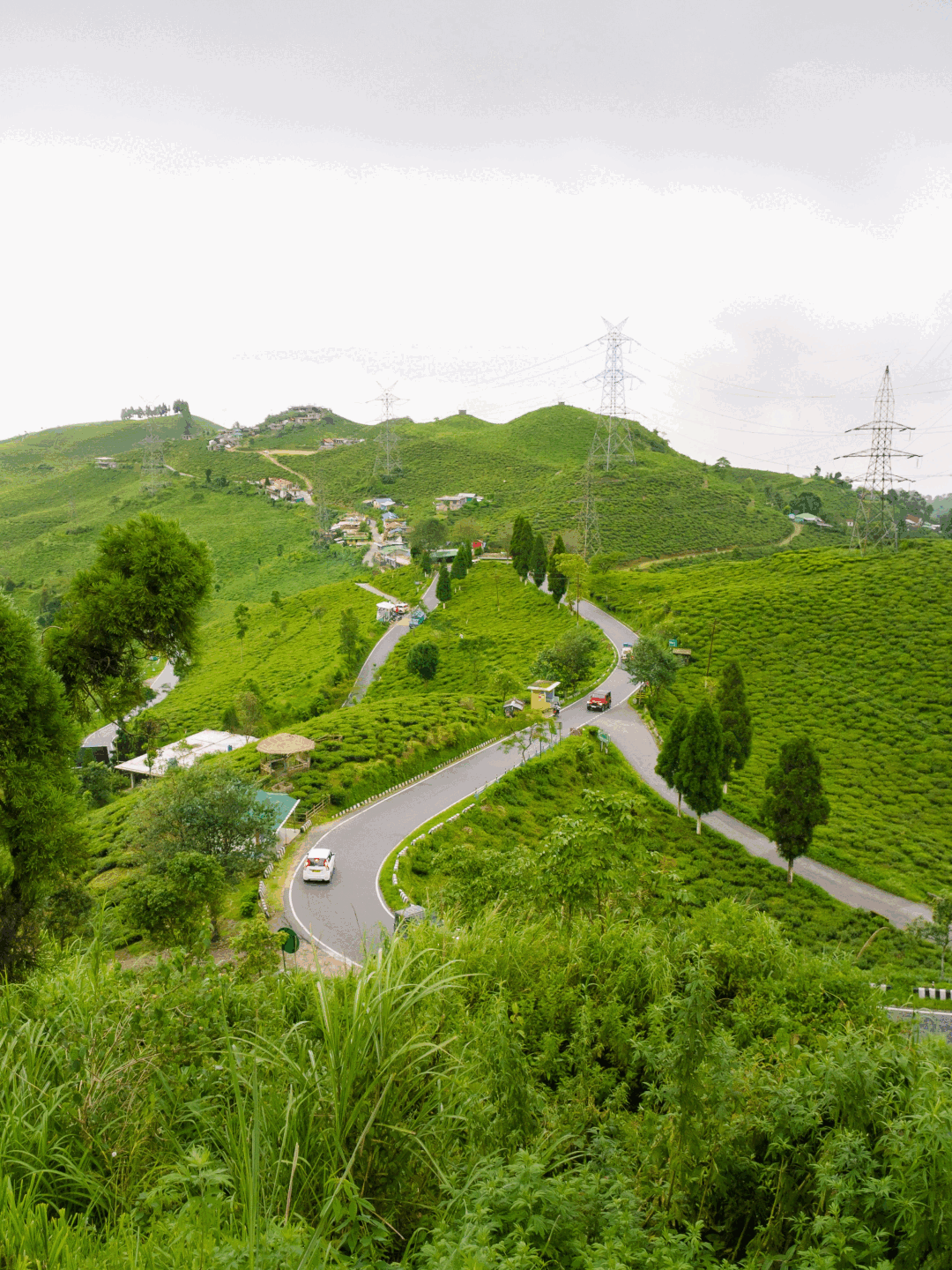 Darjeeling
