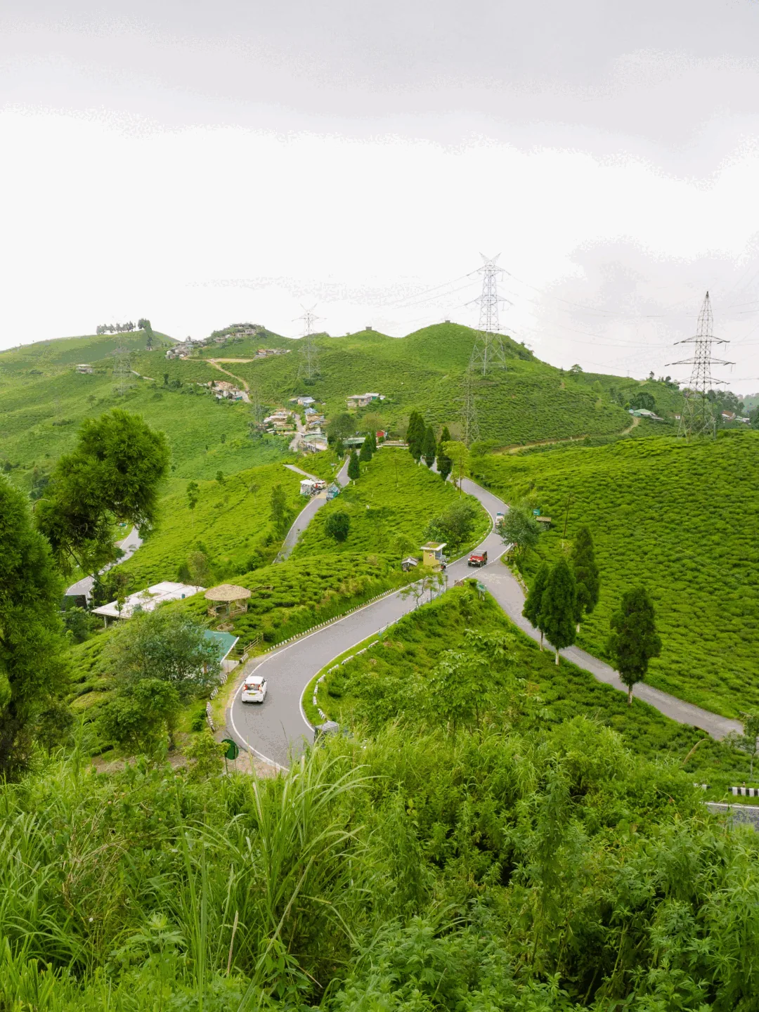Darjeeling