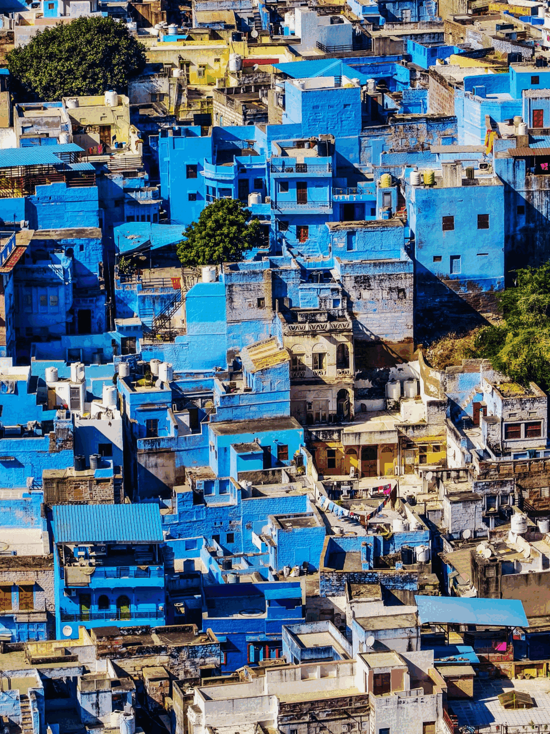 Jodhpur