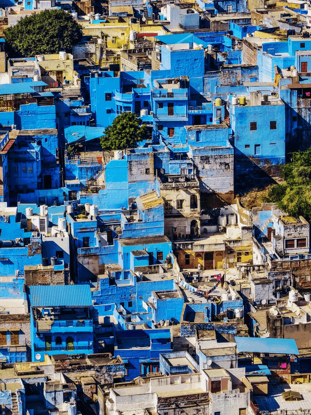 Jodhpur