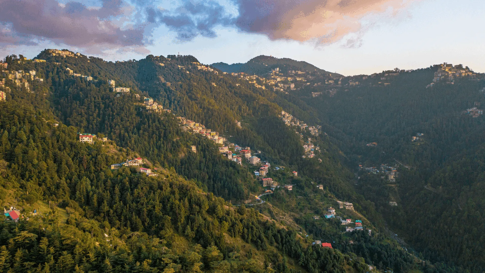 Shimla